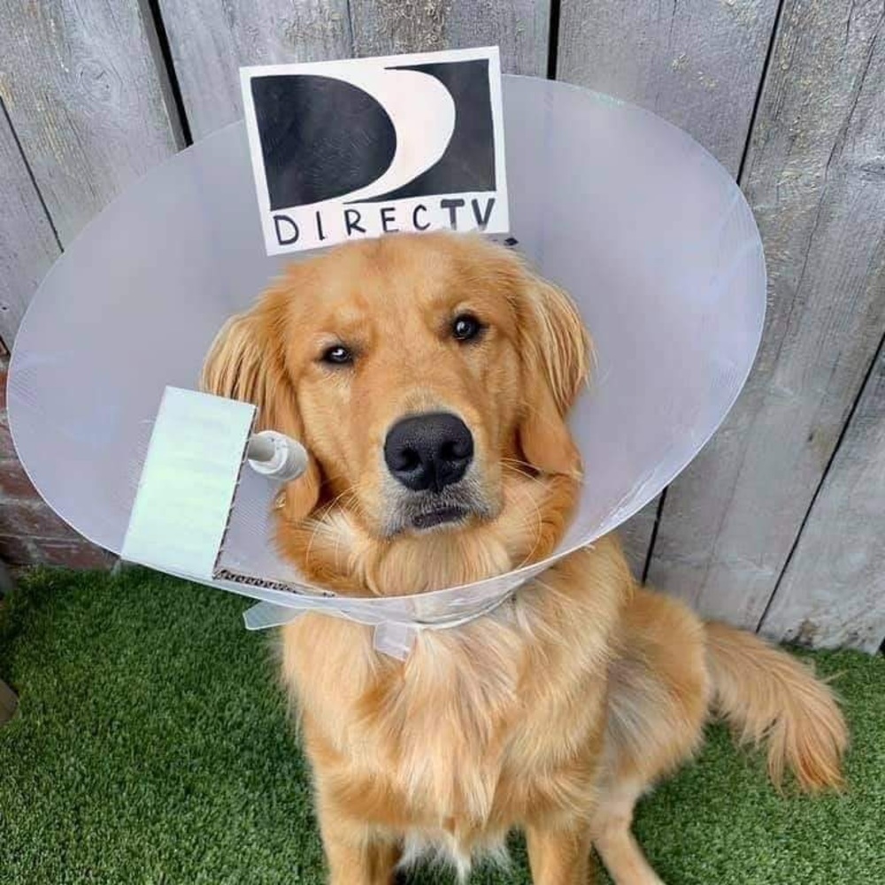 Meet your Poshers, HS